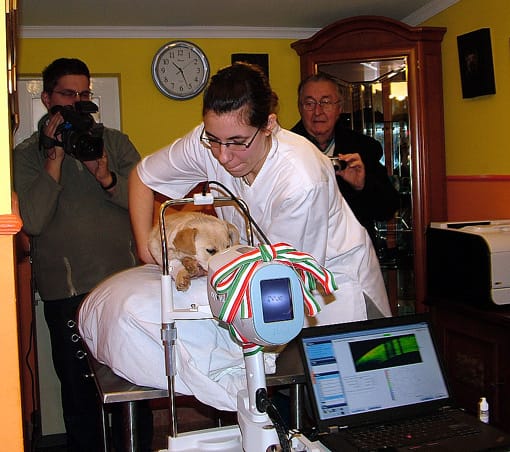 Optikai koherencia tomográf a szembetegségek pontos diagnosztizálására.