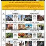 A szentesi Őze Lajos Filmszínház 2014.02.hó