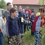 Az életfák kiválasztása. Fotó Vidovics Ferenc