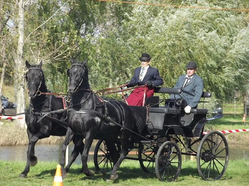 Elegáns akadályvétel.