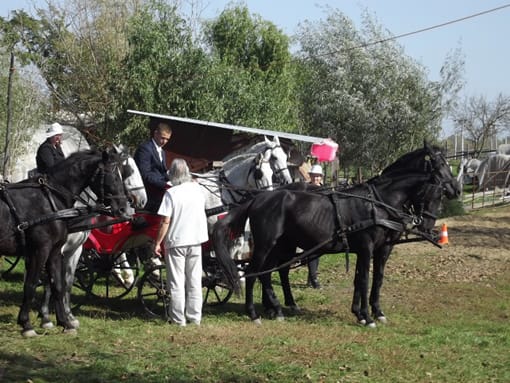 Elismerés a fogatosoknak.