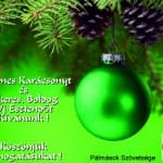 Karácsonyi üdvözlet_2015. Pálmások Szövetsége