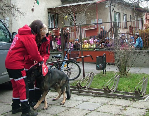 A Vásárhelyi úti Óvoda apróságai már nagyon várják a vendégeket.