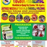 2014.03.07.TÜCSÖK jÁTSZÓHÁZ.