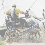 Hajtsunk együtt a győzelemért!