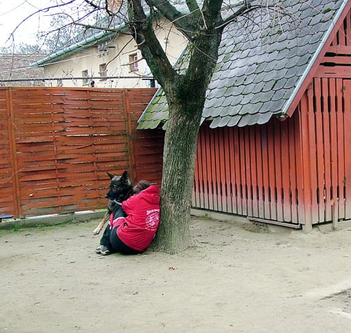 Az eltűnt személy megtalálásakor ez történik.