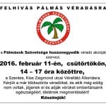 Pálmás véradás_16_02_11.