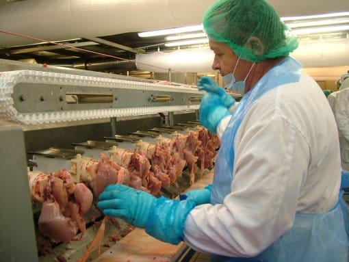 A csirkedarabolóban csirkemell külső filé levétele történik.