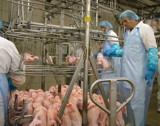 Kacsa függesztés a daraboló pályára a Nagytestű darabolóban