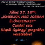 2016-07-27. Nyáresték a múzeumban.