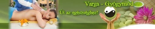 A honlap fejléce.