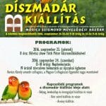 diszmadar-kiallitas.