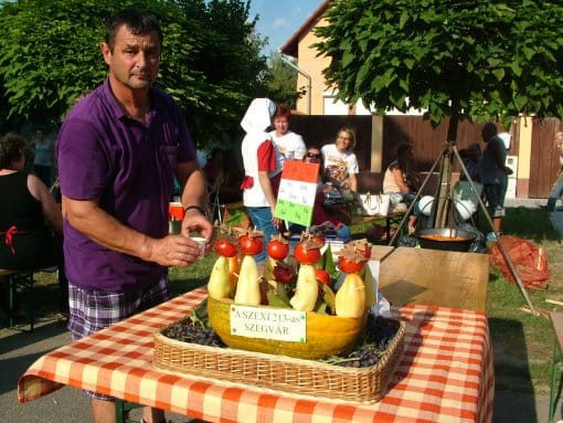 otletes-megjelenes-szegvarrol