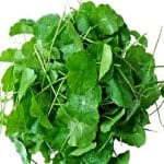 Gotu kola növény.