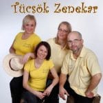 Tücsök zenekar.