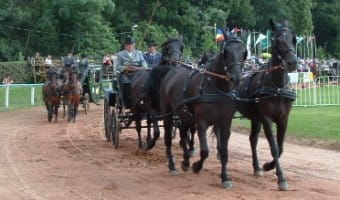 III. Lovas Világtalálkozó III. Lovas Világtalálkozó