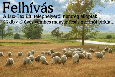 birkak.gif birkak.gif