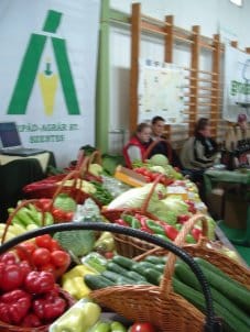 Arpad_Agrar_Rt_1.jpg Arpad_Agrar_Rt_1.jpg
