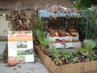 Bartha_iskola.jpg Bartha_iskola.jpg