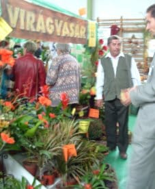viragvasar.jpg viragvasar.jpg