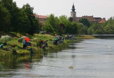 Kelet_bajnokság_2005.jpg Kelet_bajnokság_2005.jpg