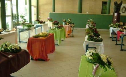 Panoráma.jpg Panoráma.jpg