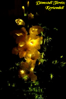 Dömsödi_Teréz_fotója.gif