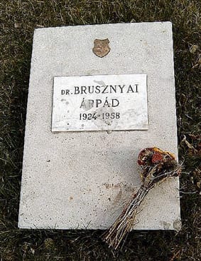 Brusznyai_sírköve az új köztemetőben.jpg Brusznyai_sírköve az új köztemetőben.jpg