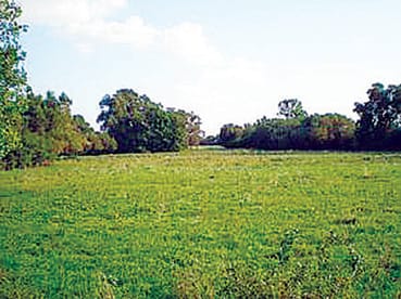 T&aacute;jk&eacute;p_puszta.jpg